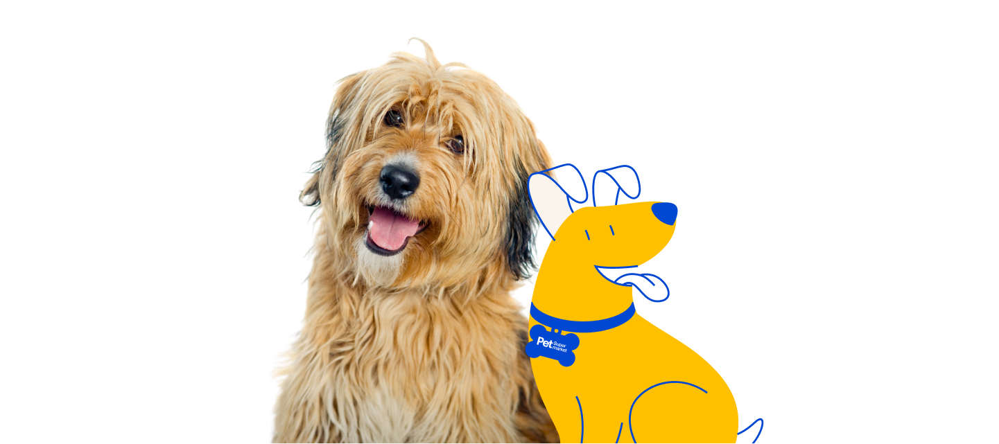 Pet supermarket dog tags outlet